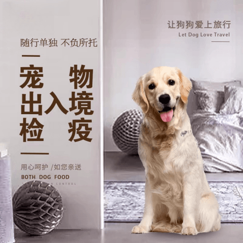 镇江市宠物托运到哥伦比亚猫狗宠物入境规定和