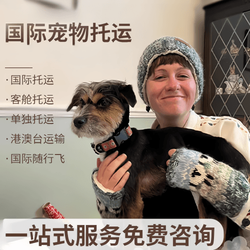 镇江市国际宠物托运到阿根廷宠物入境规定和要