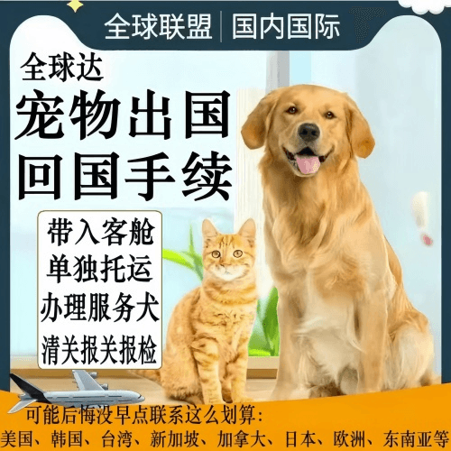 镇江市宠物托运到柬埔寨宠物入境规定和要求
