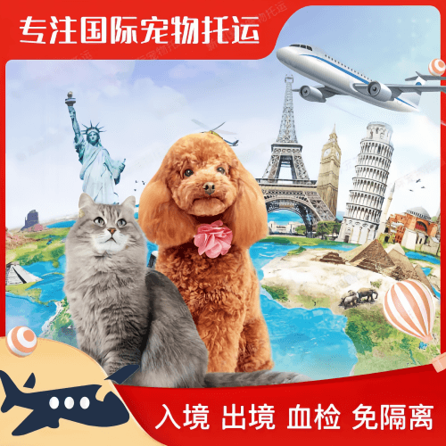 镇江市宠物托运到美国宠物入境最新规定和要求