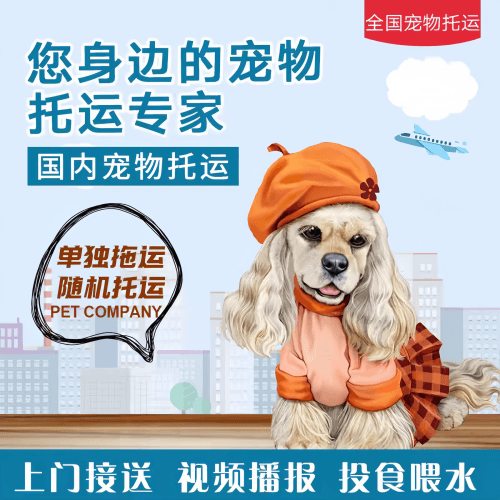 满财镇江市宠物全球达宠物托运作为专业的宠物运输代理机构